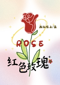 红色玫瑰小说封面